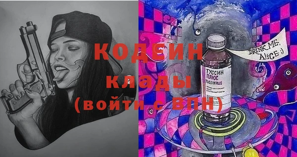 ПСИЛОЦИБИНОВЫЕ ГРИБЫ Инта