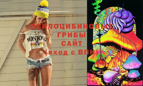 ПСИЛОЦИБИНОВЫЕ ГРИБЫ Инта