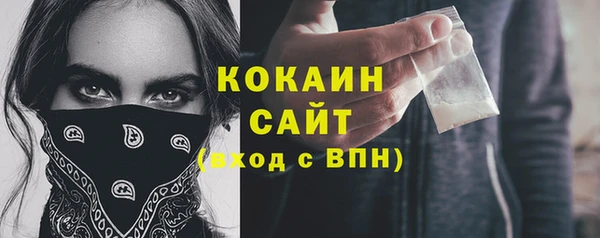 spice Снежногорск