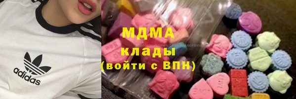 ПСИЛОЦИБИНОВЫЕ ГРИБЫ Инта