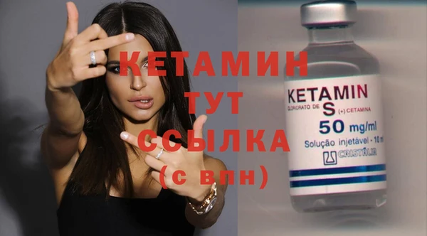 сатива Каменка