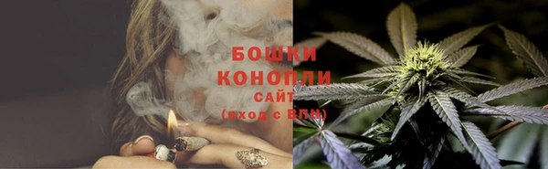 сатива Каменка