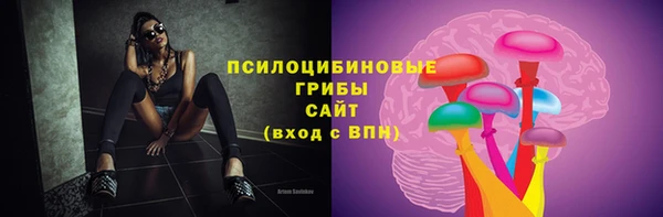 сатива Каменка
