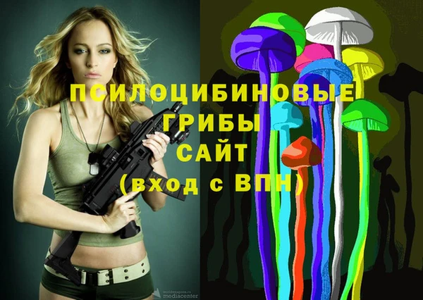 сатива Каменка