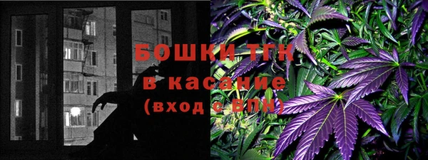 ПСИЛОЦИБИНОВЫЕ ГРИБЫ Инта