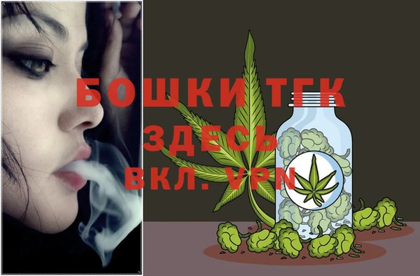 ПСИЛОЦИБИНОВЫЕ ГРИБЫ Инта
