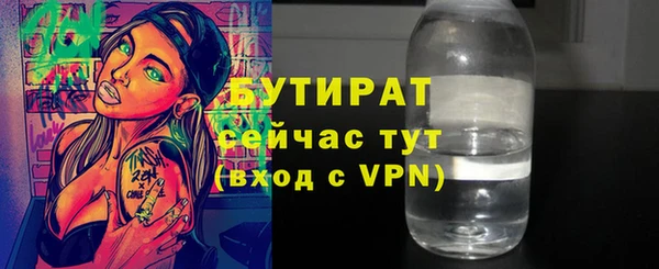 сатива Каменка